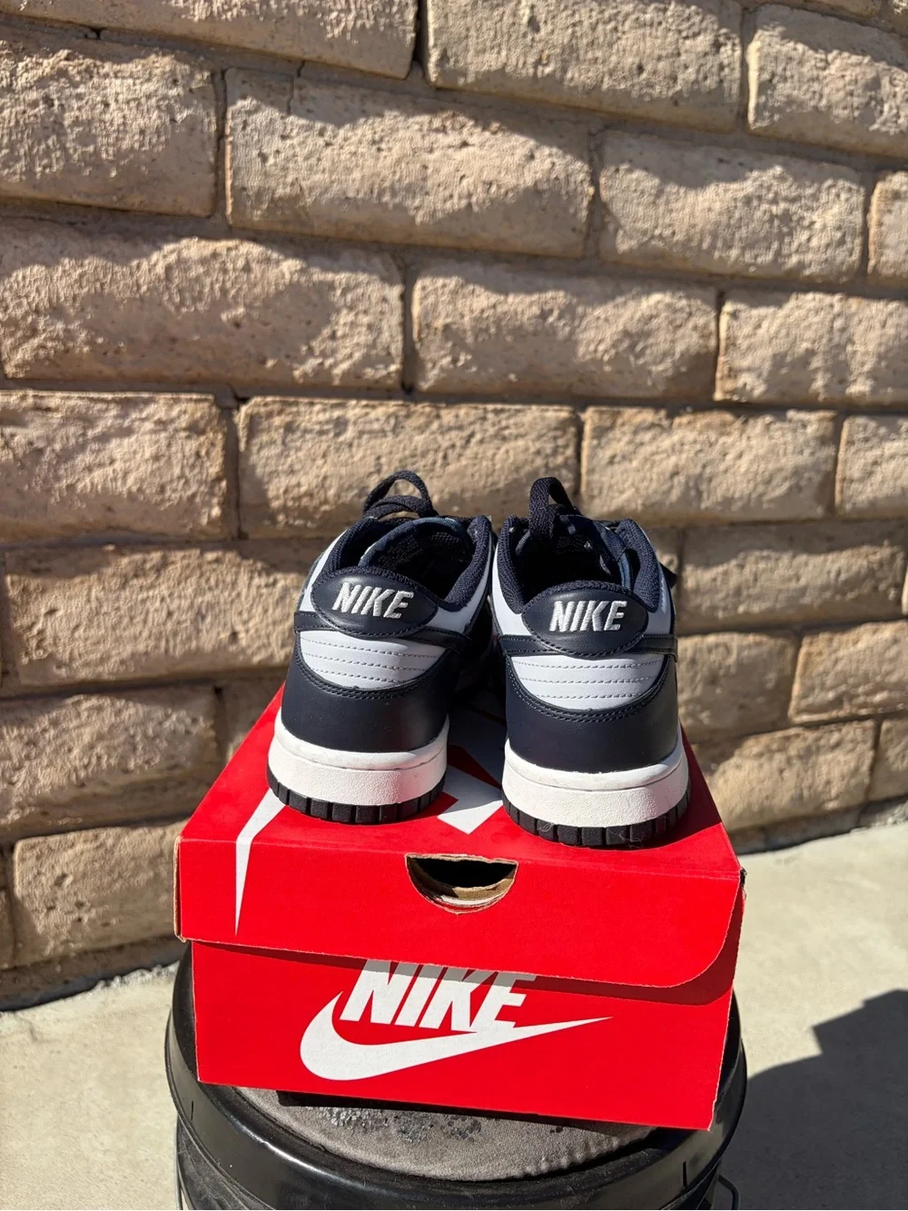 Nike Kids Navy Blue / lights Gray Low-Top Dunks